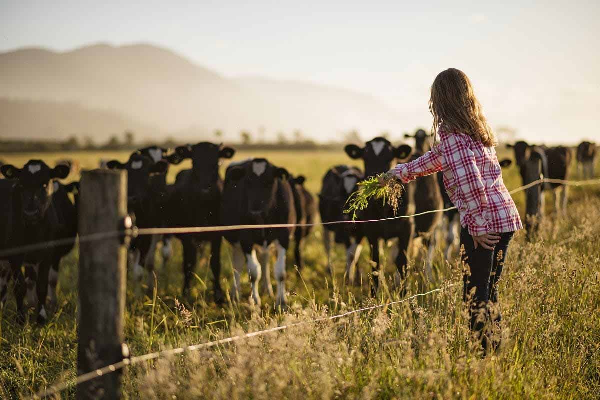 Financial Well being in Agriculture