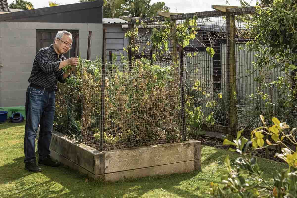 BNZ Generations garden Alex Wang 01 1200x800px