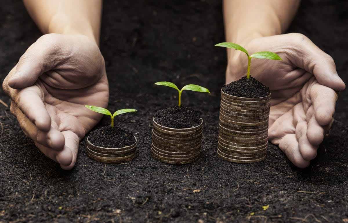right kiwisaver fund